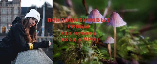 круглые Осинники
