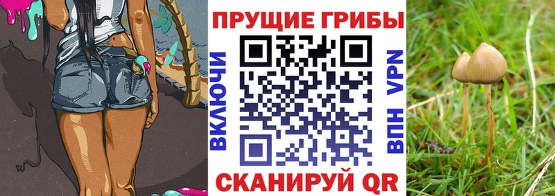 Псилоцибиновые грибы мухоморы  Королёв 